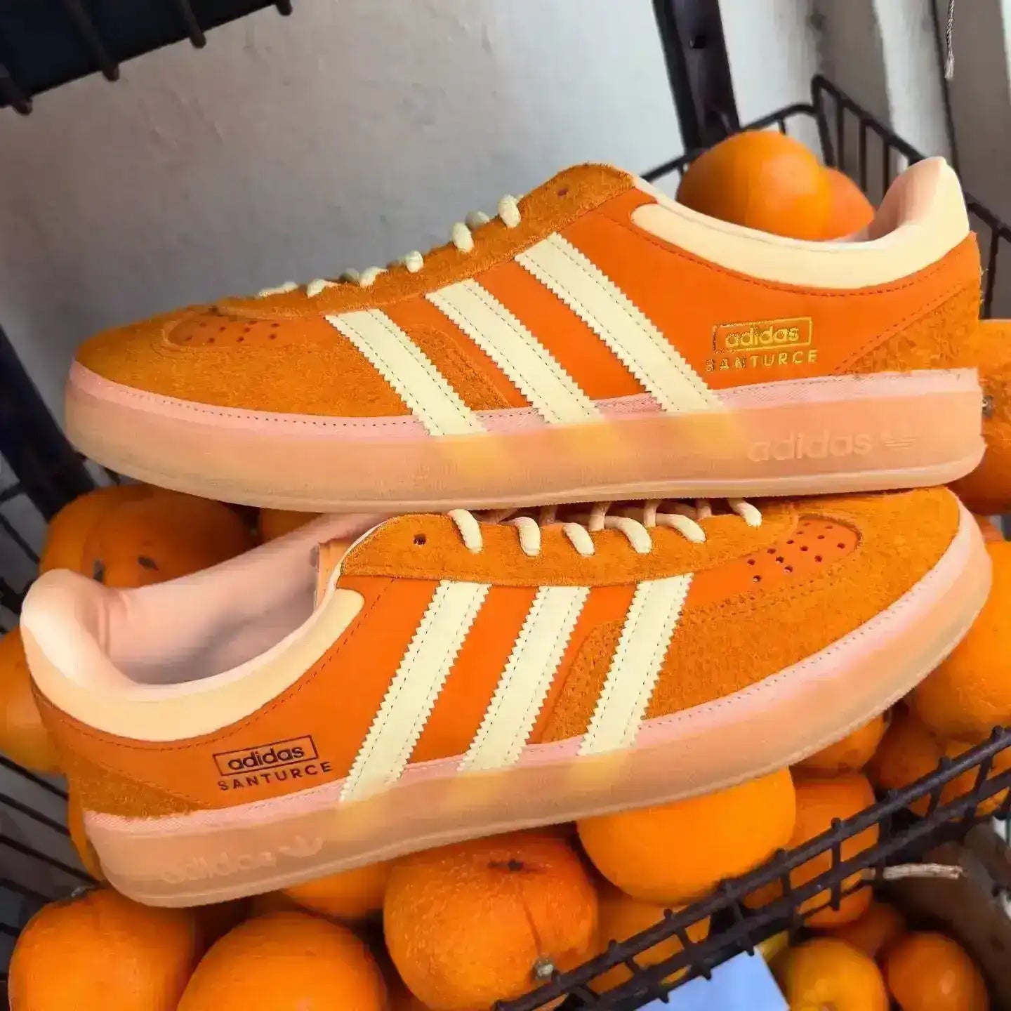 Adidas Gazelle Indoor Cabo Rojo | Dusty Pink Suede & Translucent Sole