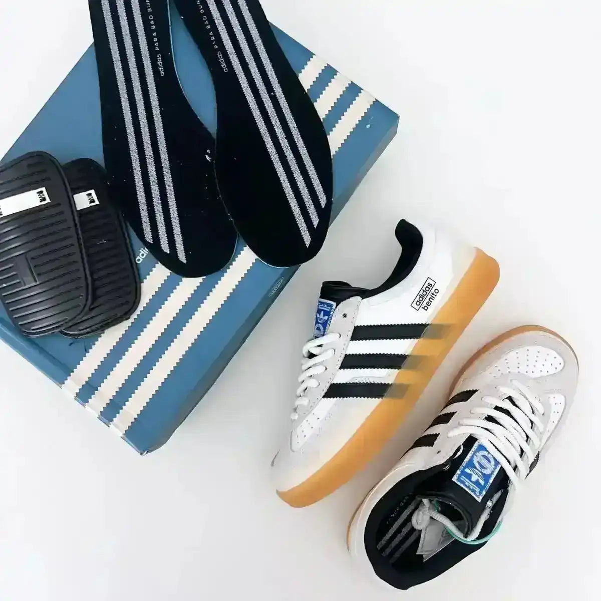 Gazelle Indoor 'Benito'